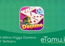 Alat Mitra Higgs Domino Apk Tdomino Boxiangyx Download 2023