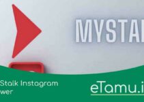 MyStalk: Anonymous Instagram Viewer Instastory View / Download