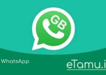GB WhatsApp (GBWA) Mod Apk Download versi Terbaru 2023
