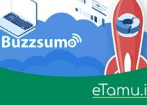 6 Important Features in Buzzsumo that Help Marketing Strategy