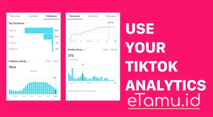 Cara Mengakses TikTok Analytics