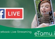 Facebook Live Streaming: The Way to Reach a Wider Audience