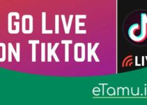 How to Live on TikTok: Methods to Follow & Requirements