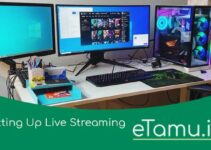5 Steps to Setting Up Live Streaming for a Successful Result