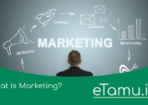 What is Marketing? Why Is It Important? Let’s Learn the Basics