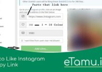 Auto Like Instagram Copy Link Terbaik 2023 Caranya Mudah Loh!