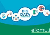 Big Data Marketing: The Role in Developing a Company’s Strategy