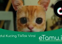 Dudul Kucing TikTok Viral di Twitter! Kok Meme Ini Bisa Trending?
