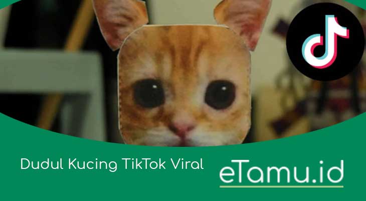 Dudul Kucing TikTok Viral