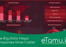 How Big Data Helps Companies Grow Faster! Here is The Fact