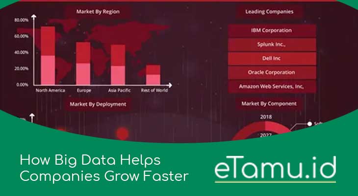 How Big Data Helps Companies Grow Faster