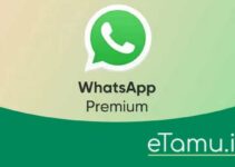 WhatsApp Premium Akan Segera Rilis, Ini yang Perlu Kalian Tahu