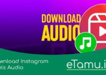 Download Instagram Reels Audio dalam Format Mp3 (Mudah)