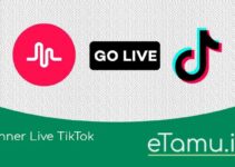 Banner Live TikTok: Bagaimana Cara Meningkatkan Interaksi Anda