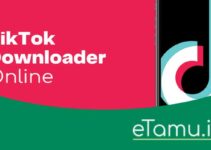 TikTok Downloader Online Gratis Terbaik Tanpa Watermark