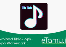 Download TikTok Apk Tanpa Watermark (No Ads) versi Terbaru