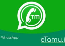 TM WhatsApp: Download TM WA MOD APK Anti-Ban Terbaru