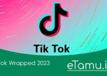 TikTok Wrapped 2023: Cara Membuatnya & Link Akses Gratis
