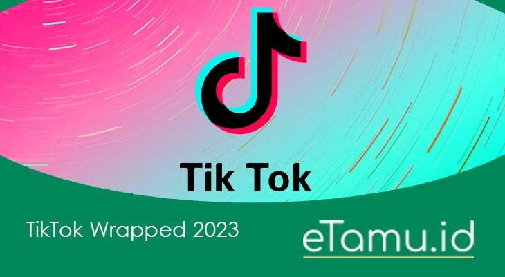 TikTok Wrapped 2023