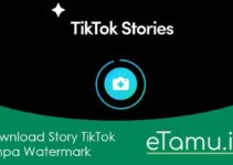 Download Story TikTok Tanpa Watermark Dengan & Tanpa Aplikasi