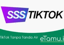 SSSTikTok Tanpa Tanda Air: Download Video, Story, Sound TikTok