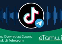 Cara Download Sound Tiktok di Telegram BOT & APK Downloader
