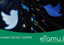 Followers Gratis Twitter Tercepat Tanpa Aplikasi dengan Website Ini