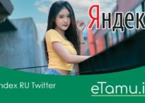Yandex RU Twitter Search Download APK Video Museum Viral