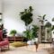 How to incorporate plants into a modern living room