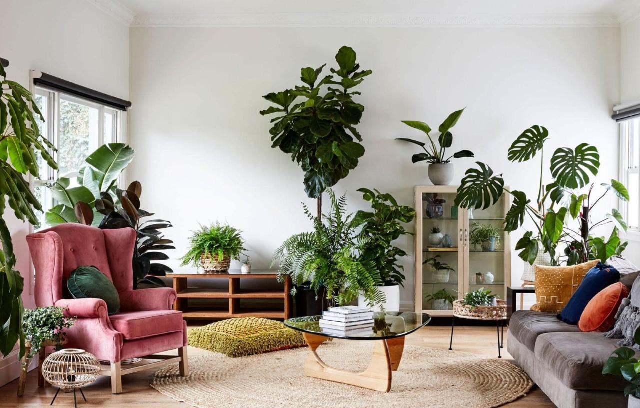 How to incorporate plants into a modern living room