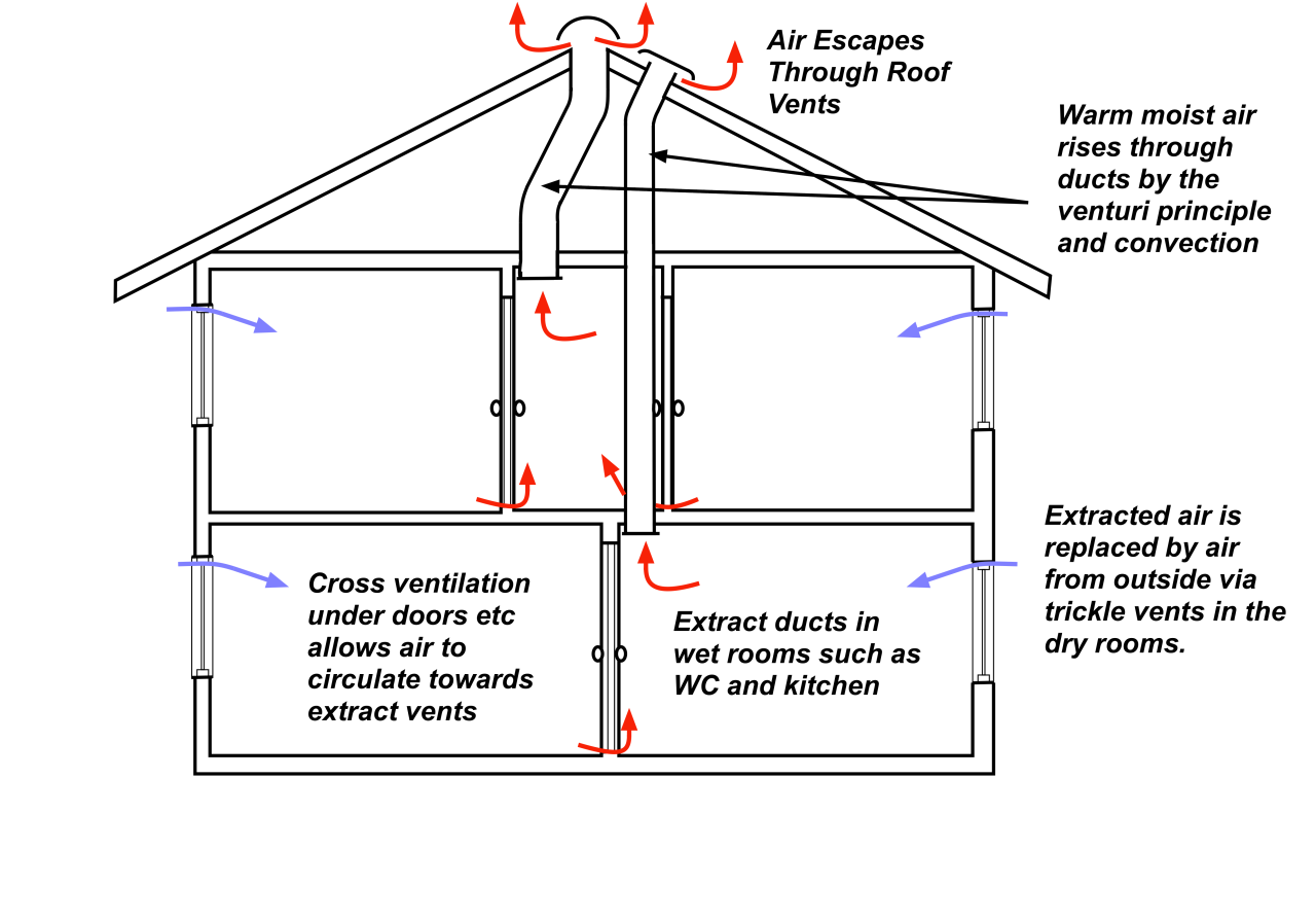 Natural ventilation house